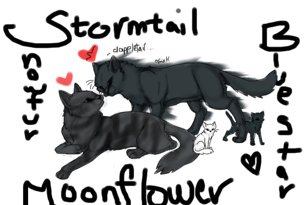 Stormtail and Moonflower