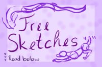 (Almost) Free Sketches